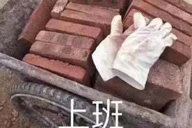 表情包｜打工人专用图片