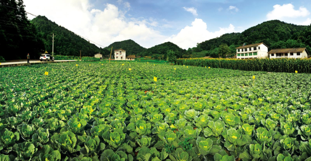 四川省民生研究会新媒体中心-官网