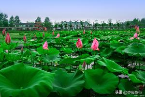 合肥必去十大旅游景点推荐，合肥周边游好去处，你去过几个?图