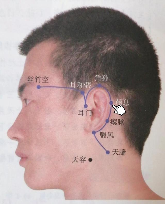 每日一穴——颅息穴