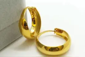 一只神奇的耳环图片