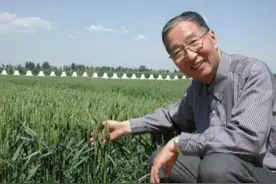 “杂交小麦之父”李振声：让粮食增产1000亿斤，喂饱5亿中国人图片