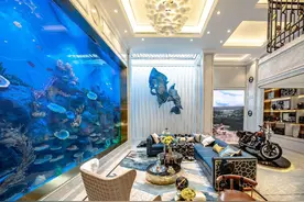 贫穷限制了想象！北京某业主，在地下室装了2层楼高的鱼缸图片