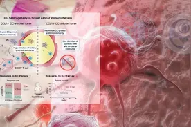 “最毒”乳腺癌精准免疫治疗有了新突破图片