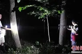 金蝉一个一块一，山水牛一个八块五，这价格也太贵了吧？图片