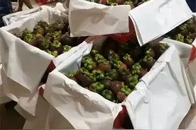 山竹行情跌落谷底，一斤剩6元，吃货以为实现自由，却踩坑买坏果图片