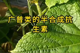 土霉素用得好，预防病害没烦恼，效果做梦都想不到#土霉素...图片