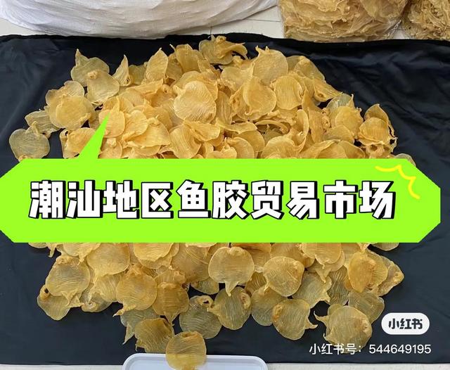 花胶批发市场 花胶批发市场哪里有