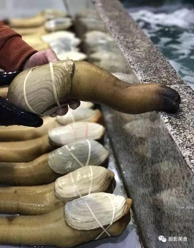 什么海鲜胶原蛋白最多 2025年海鲜含有胶原蛋白吗