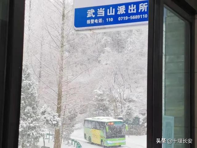 䵱ɽָţɫӦñ㷢