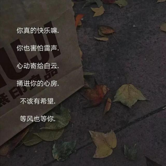 满眼失望的小众温柔网名