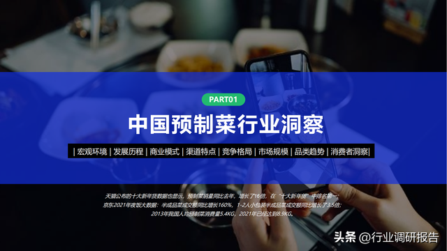 2022���й�Ԥ�Ʋ���ҵ��չ���ƶ��챨��