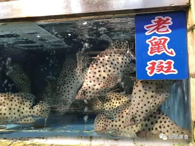 什么海鲜胶原蛋白最多 2025年海鲜含有胶原蛋白吗