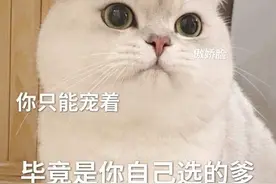 笑话十条：妹纸比较爱吃辣，有一家早餐店特别好吃经常去……图片