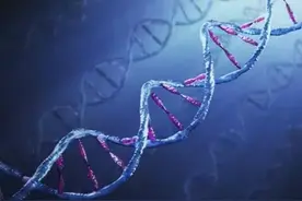 人类真的能永生吗？——基因工程图片