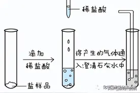 九年级化学第十一单元知识点总结图片