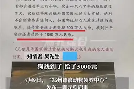 男子悬赏1000万寻狗，知情人称狗找到了只给了5000，律师：狗主人或涉传播虚假信息罪图片