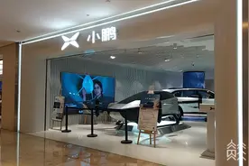 新能源汽车“国补”年底终止 车企花式促销图片