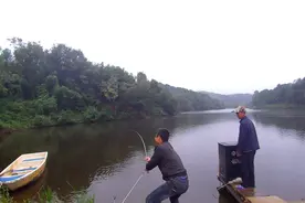 等你换粗线就没口！大鱼为何专挑小钩，其实不是那么回事图片