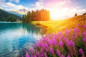 命运由谁造？图片