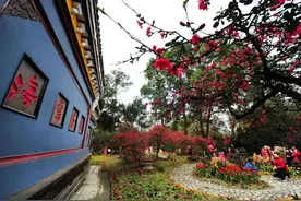 四川双流：一座公园城市的诗意生活图片