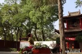 历时5年摸清“家底”，宁夏有17968株古树名木！最老的树，超过500岁！图片