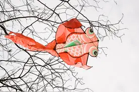 新吴区唯一的一个公园，取消预约，只需刷身份证即可入园图片