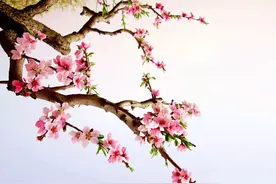 烟如柳诗词三十首（最新2021年12月）图片