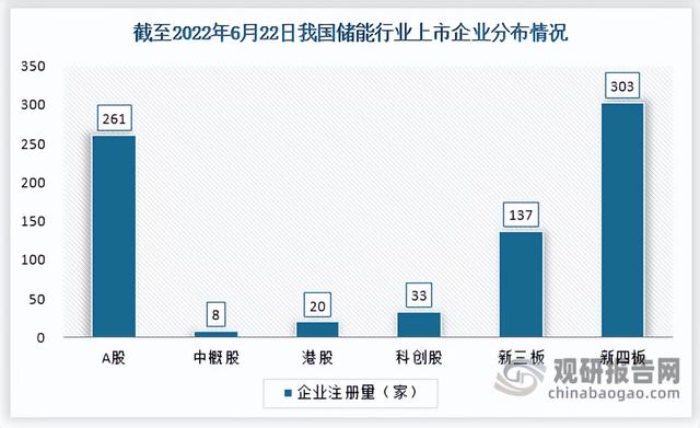 中国储能行业竞争现状调研与投资战略分析报告(2022-2029年)