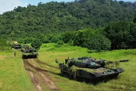 东南亚地区：印尼陆军图片