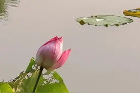 微信好友真的是好友吗图片