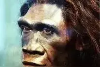 大部分广东人的祖先：不是汉人，而是汉化的百越族后裔图片