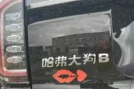 盘点那些年被车主玩坏的车标图片