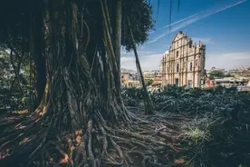 澳门怎么选酒店？有钱也订不到的酒店想看看吗？图片