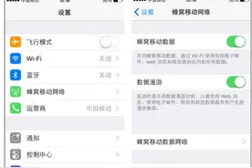 手机网络术语解析：为什么iPhone叫蜂窝数据，安卓叫移动数据？图片