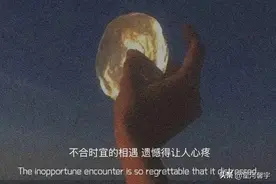 人间清醒的高级文案之遗憾图片