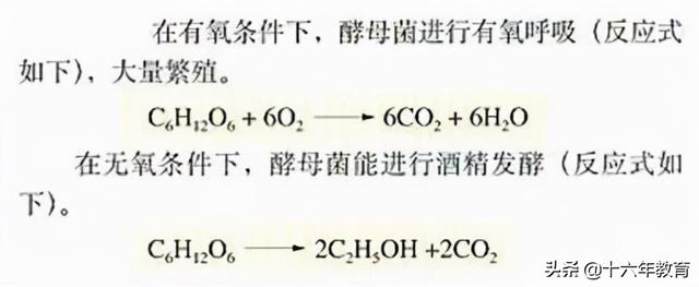 高中生物重要生化知识图解记忆（建议收藏）