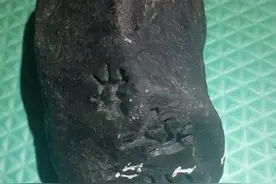 莫湾基的特点和注意点图片