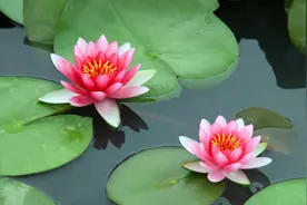 心眼很坏的人，说话有这几个“共性”，最好是远离图片