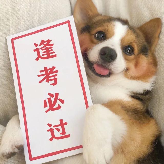 ������Ȧ�Ź����ز� | ����Ȧ����ͼ