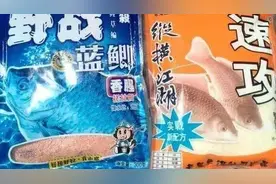 放弃使用纯香饵，一年四季都用腥饵，永远不会错图片