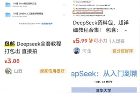 DeepSeek 付费教程火了？“割韭菜”套路曝光图片