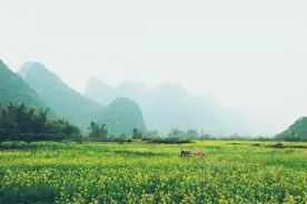 9首必读山水田园诗，和风细雨，炊烟袅袅，美到心醉!图片