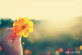 “前世债，今生劫”：这一生的遭遇，都是上辈子欠下的债图片