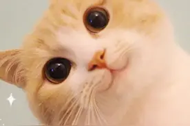 给女生的25条极简护肤建议图片