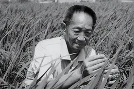 为中国粮食安全做出突出贡献的农家圣人——袁隆平图片