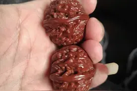 文玩核桃一学就会的变红“窍门”是什么？图片