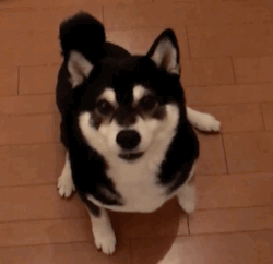 运筹学真的很难吗？