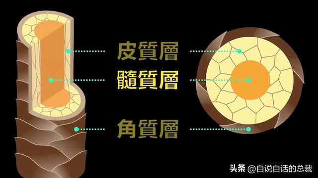 熊猫：真实存在的上古恐惧，为什么只有人类觉得大熊猫很可爱？