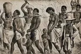 历史上的荷兰奴隶贸易，是如何出现及发展的图片